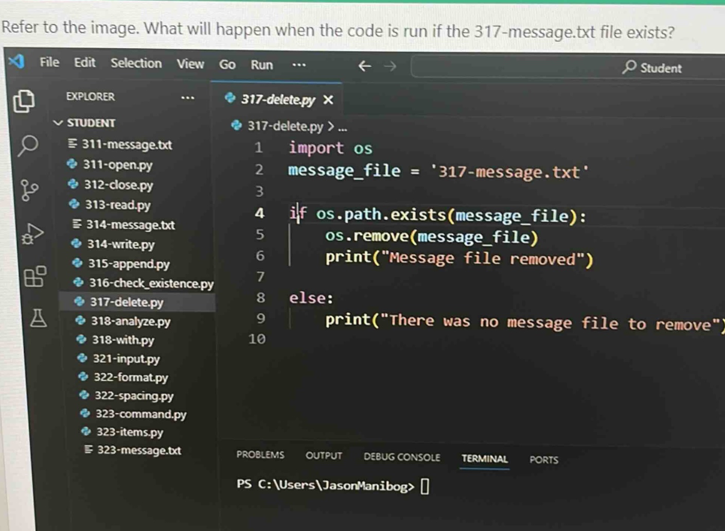 refer to the image. what will happen when the code is run if the 317 - message.txt file exists? import os message_file = 317 - message.txt if os.path.exists(message_file): os.remove(message_file) print(\message file removed\) else: print(\there was no message file to remove\)