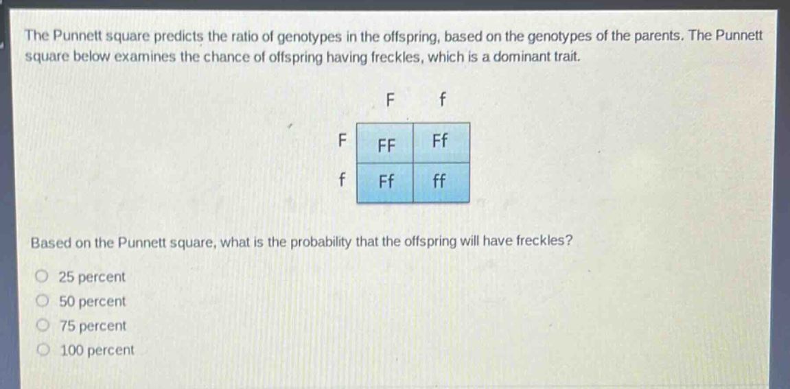 the punnett square predicts the ratio of genotypes in the offspring, based on the genotypes of the parents. the punnett square below examines the chance of offspring having freckles, which is a dominant trait.\nf f\nf ff ff\nf ff ff\nbased on the punnett square, what is the probability that the offspring will have freckles?\n25 percent\n50 percent\n75 percent\n100 percent