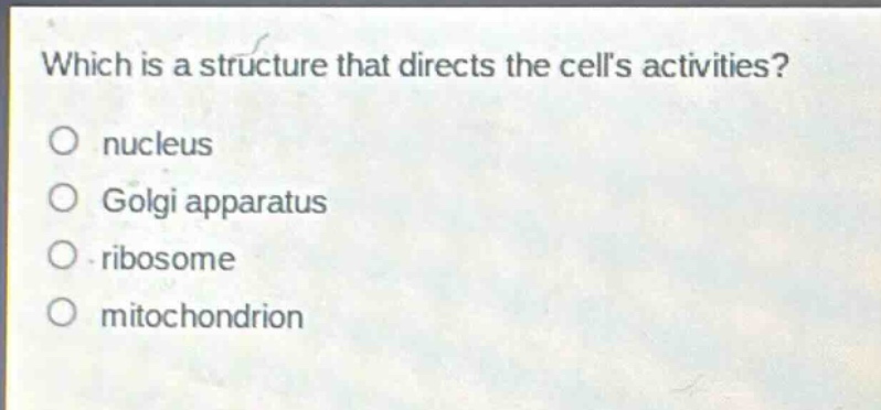 which is a structure that directs the cells activities?\no nucleus\no golgi apparatus\no ribosome\no mitochondrion