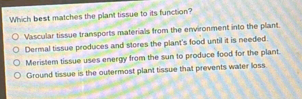 which best matches the plant tissue to its function?\nvascular tissue transports materials from the environment into the plant.\ndermal tissue produces and stores the plant’s food until it is needed.\nmeristem tissue uses energy from the sun to produce food for the plant.\nground tissue is the outermost plant tissue that prevents water loss.