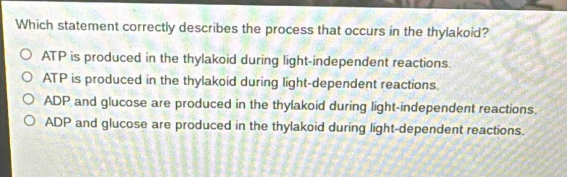which statement correctly describes the process that occurs in the thylakoid?\no atp is produced in the thylakoid during light - independent reactions.\no atp is produced in the thylakoid during light - dependent reactions.\no adp and glucose are produced in the thylakoid during light - independent reactions.\no adp and glucose are produced in the thylakoid during light - dependent reactions.