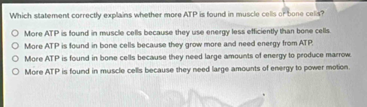 which statement correctly explains whether more atp is found in muscle cells or bone cells?\no more atp is found in muscle cells because they use energy less efficiently than bone cells.\no more atp is found in bone cells because they grow more and need energy from atp.\no more atp is found in bone cells because they need large amounts of energy to produce marrow.\no more atp is found in muscle cells because they need large amounts of energy to power motion.