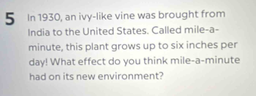 5 in 1930, an ivy - like vine was brought from india to the united states. called mile - a - minute, this plant grows up to six inches per day! what effect do you think mile - a - minute had on its new environment?