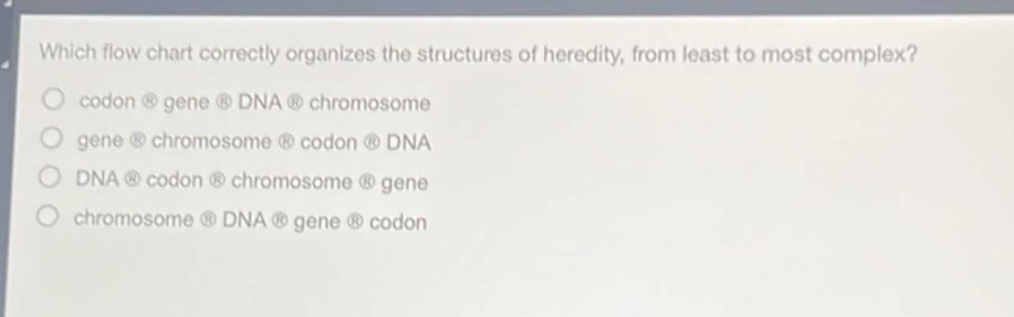 which flow chart correctly organizes the structures of heredity, from least to most complex?\ncodon gene dna chromosome\ngene chromosome codon dna\ndna codon chromosome gene\nchromosome dna gene codon