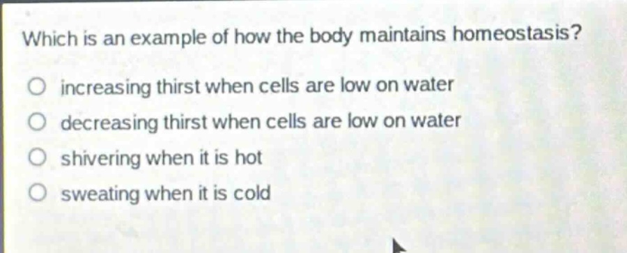 which is an example of how the body maintains homeostasis?\n increasing thirst when cells are low on water\n decreasing thirst when cells are low on water\n shivering when it is hot\n sweating when it is cold