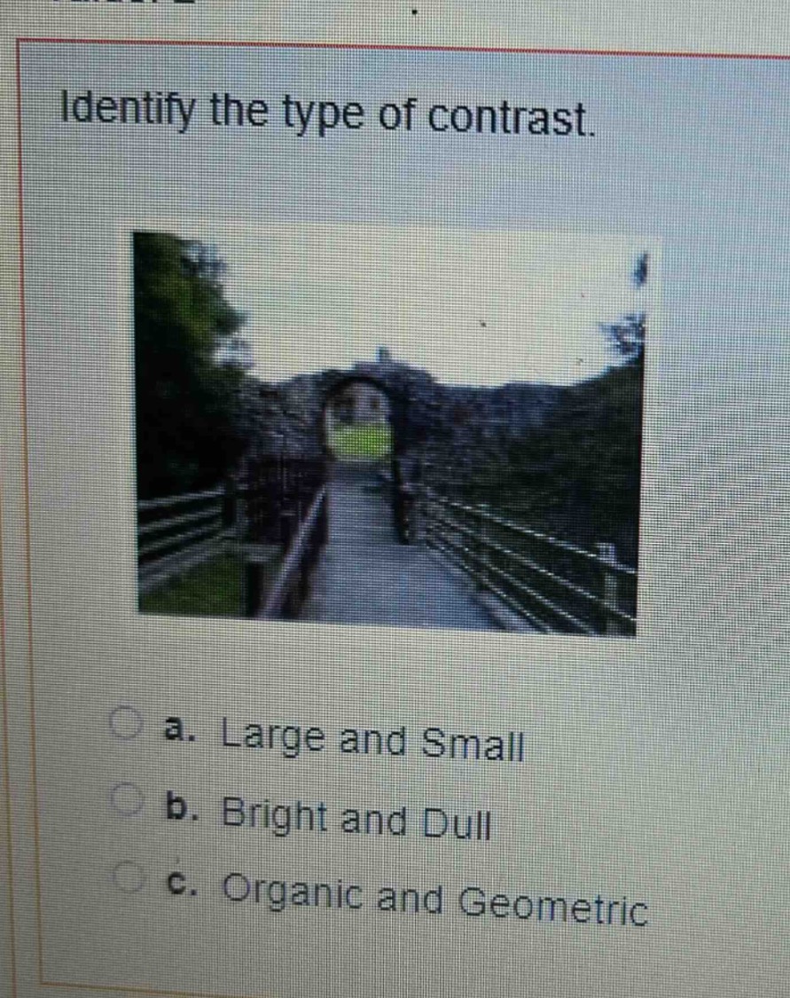 identify the type of contrast.\na. large and small\nb. bright and dull\nc. organic and geometric
