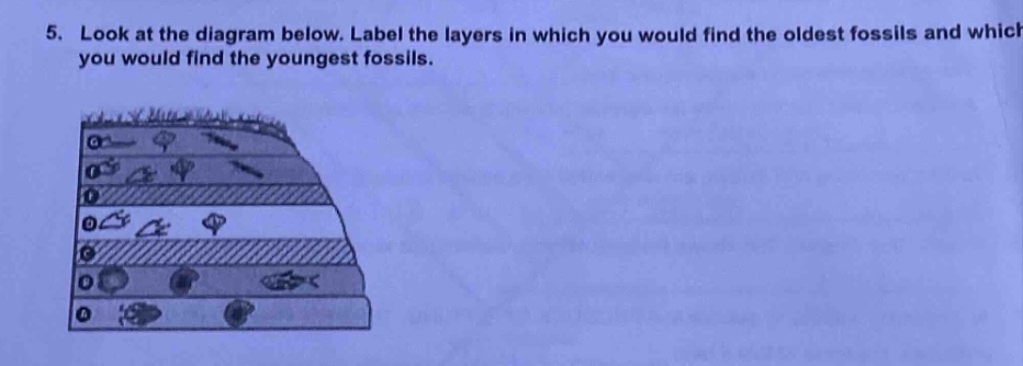 5. look at the diagram below. label the layers in which you would find the oldest fossils and which you would find the youngest fossils.