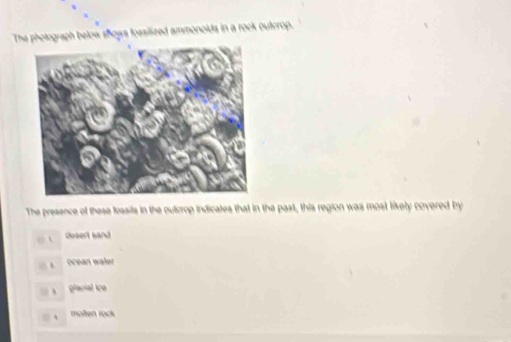 the photograph below shows fossilized ammonoids in a rock outcrop. the presence of these fossils in the outcrop indicates that in the past, this region was most likely covered by 1. desert sand 2. ocean water 3. glacial ice 4. molten rock