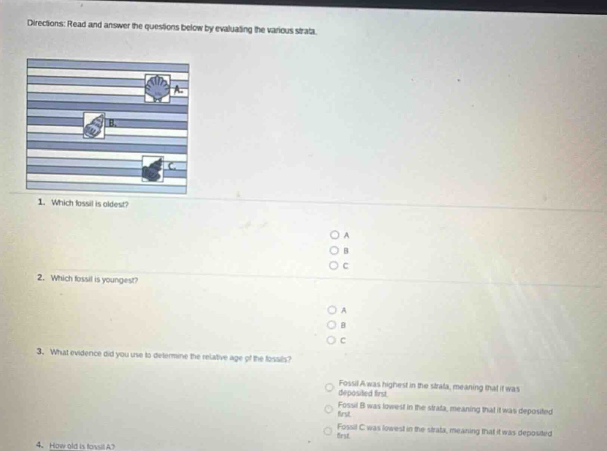 directions: read and answer the questions below by evaluating the various strata.\n1. which fossil is oldest?\n2. which fossil is youngest?\n3. what evidence did you use to determine the relative age of the fossils?\n4. how old is fossil a?