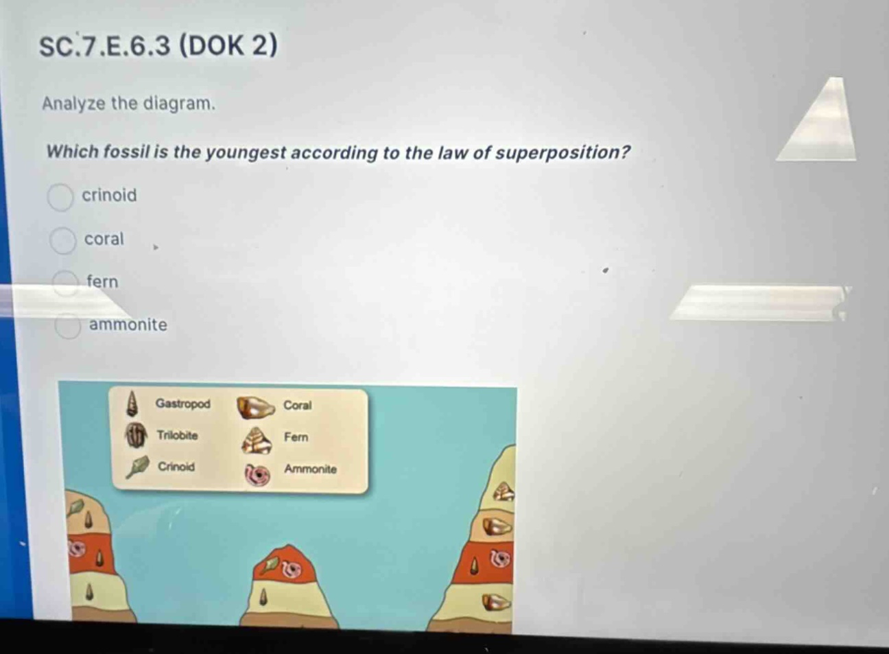 sc.7.e.6.3 (dok 2)\nanalyze the diagram.\nwhich fossil is the youngest according to the law of superposition?\ncrinoid\ncoral\nfern\nammonite\ngastropod\ncoral\ntrilobite\nfern\ncrinoid\nammonite