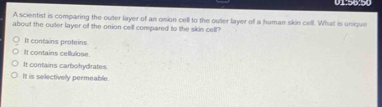 a scientist is comparing the outer layer of an onion cell to the outer layer of a human skin cell. what is unique about the outer layer of the onion cell compared to the skin cell?\no it contains proteins.\no it contains cellulose.\no it contains carbohydrates.\no it is selectively permeable.