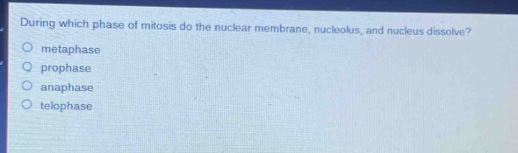during which phase of mitosis do the nuclear membrane, nucleolus, and nucleus dissolve?\nmetaphase\nprophase\nanaphase\ntelephase