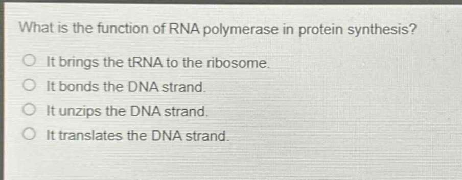 what is the function of rna polymerase in protein synthesis?\nit brings the trna to the ribosome.\nit bonds the dna strand.\nit unzips the dna strand.\nit translates the dna strand.