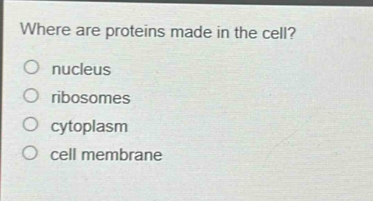where are proteins made in the cell?\no nucleus\no ribosomes\no cytoplasm\no cell membrane