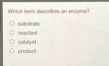 which term describes an enzyme?\no substrate\no reactant\no catalyst\no product