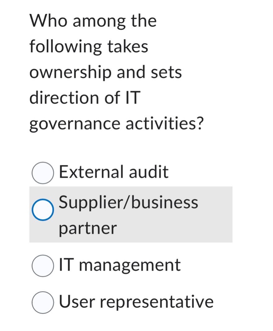who among the following takes ownership and sets direction of it governance activities?\nexternal audit\nsupplier/business partner\nit management\nuser representative