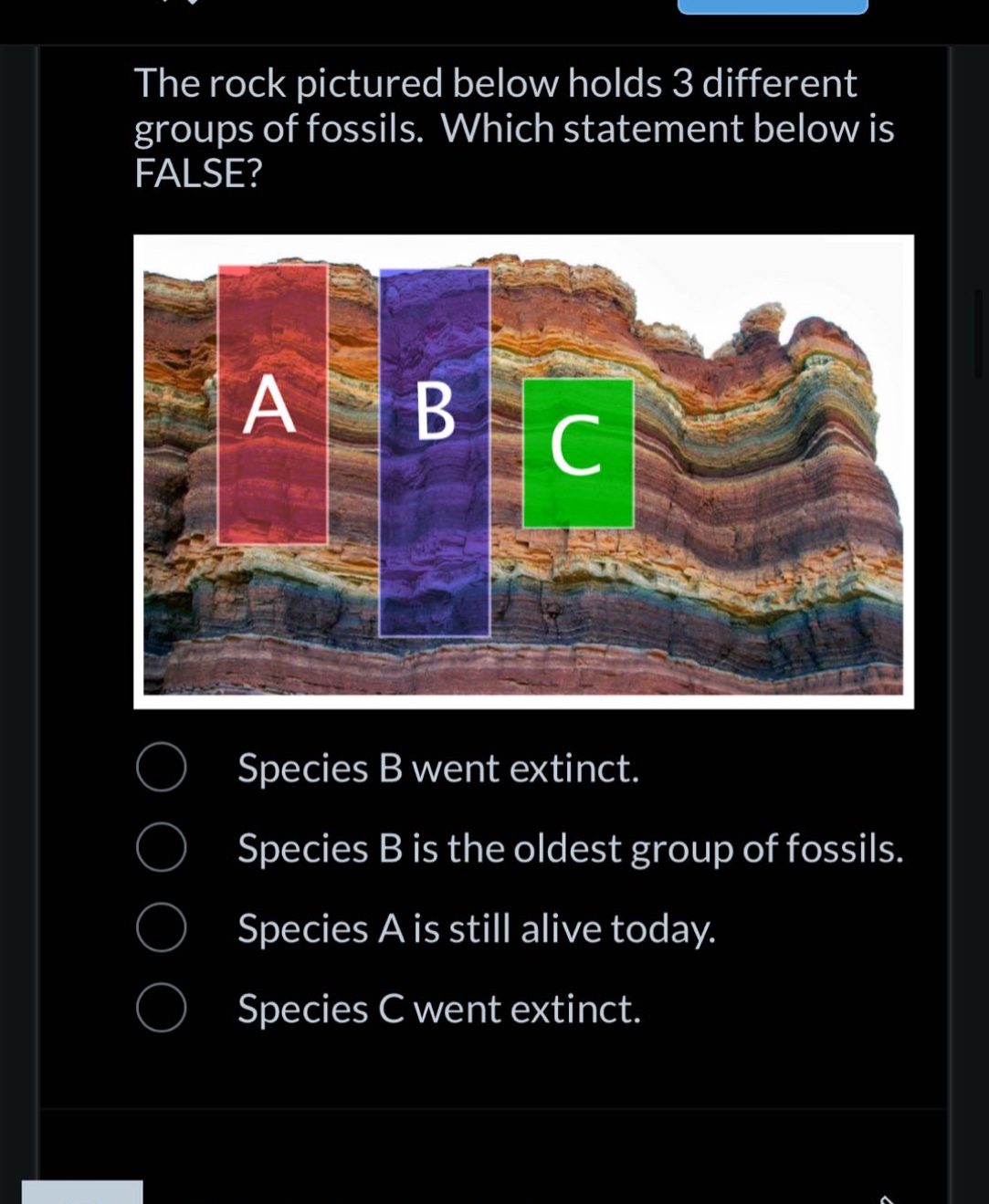 the rock pictured below holds 3 different groups of fossils. which statement below is false? species b went extinct. species b is the oldest group of fossils. species a is still alive today. species c went extinct.