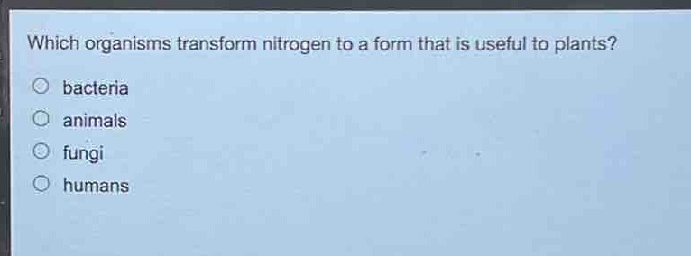 which organisms transform nitrogen to a form that is useful to plants?\n○ bacteria\n○ animals\n○ fungi\n○ humans
