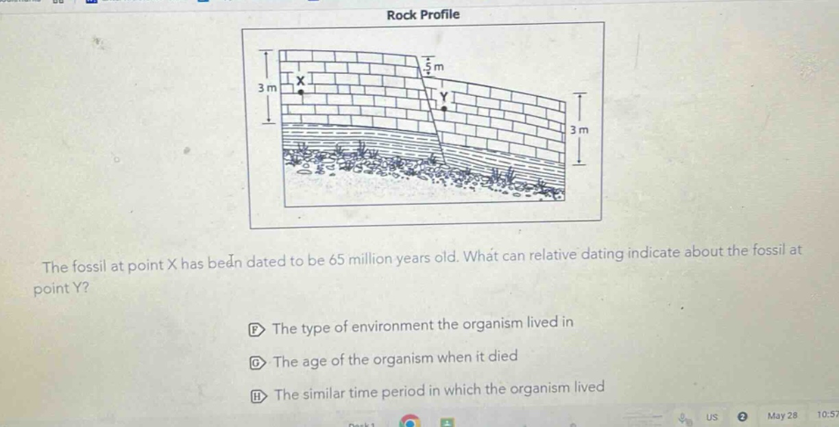 the fossil at point x has been dated to be 65 million years old. what can relative dating indicate about the fossil at point y?\nf the type of environment the organism lived in\ng the age of the organism when it died\nh the similar time period in which the organism lived