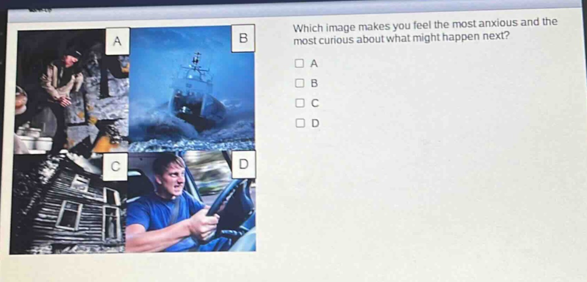 which image makes you feel the most anxious and the most curious about what might happen next?\n□ a\n□ b\n□ c\n□ d