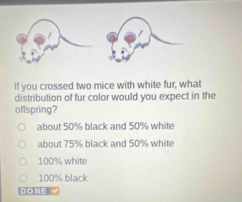 if you crossed two mice with white fur, what distribution of fur color would you expect in the offspring?\nabout 50% black and 50% white\nabout 75% black and 50% white\n100% white\n100% black\ndone