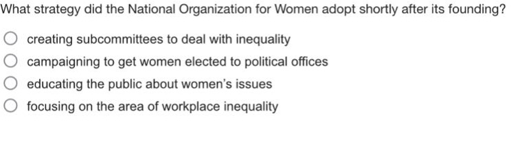 what strategy did the national organization for women adopt shortly after its founding?\n- creating subcommittees to deal with inequality\n- campaigning to get women elected to political offices\n- educating the public about womens issues\n- focusing on the area of workplace inequality