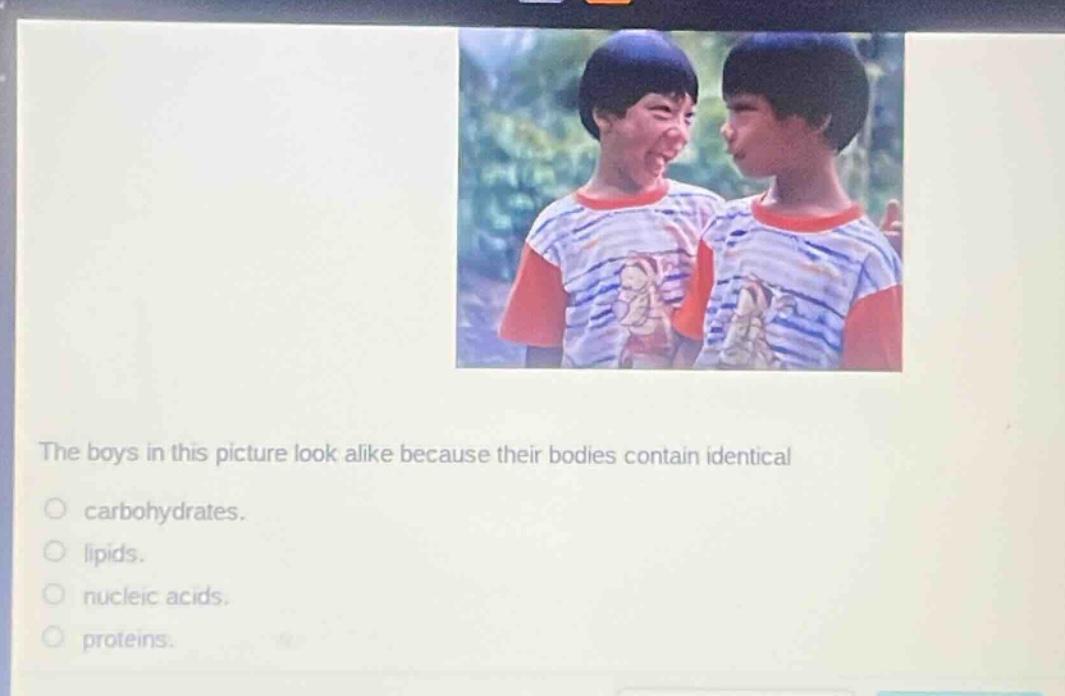 the boys in this picture look alike because their bodies contain identical\n○ carbohydrates.\n○ lipids.\n○ nucleic acids.\n○ proteins.