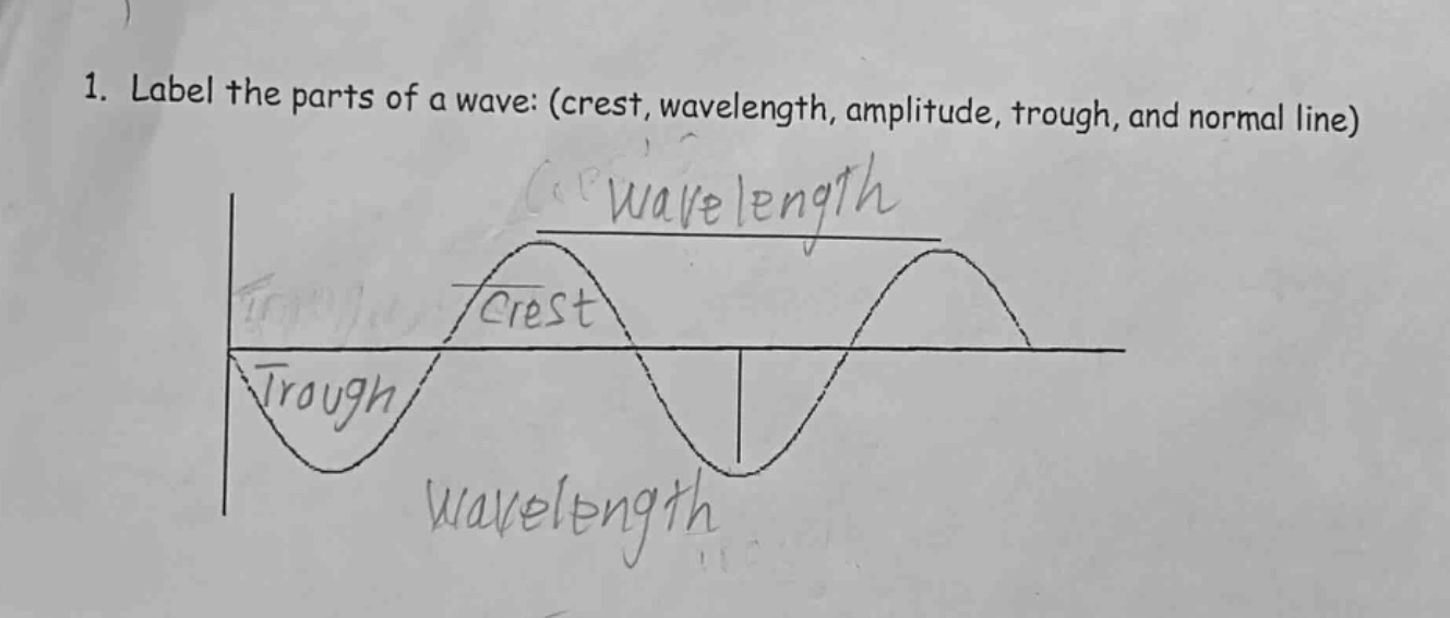 1. label the parts of a wave: (crest, wavelength, amplitude, trough, and normal line)