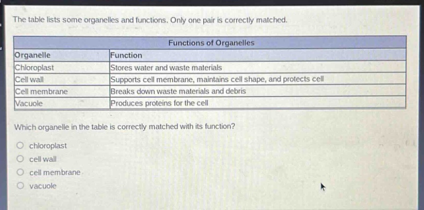 the table lists some organelles and functions. only one pair is correctly matched.\n\n| organelle | function |\n|--|--| \n| chloroplast | stores water and waste materials |\n| cell wall | supports cell membrane, maintains cell shape, and protects cell |\n| cell membrane | breaks down waste materials and debris |\n| vacuole | produces proteins for the cell |\n\nwhich organelle in the table is correctly matched with its function?\no chloroplast\no cell wall\no cell membrane\no vacuole