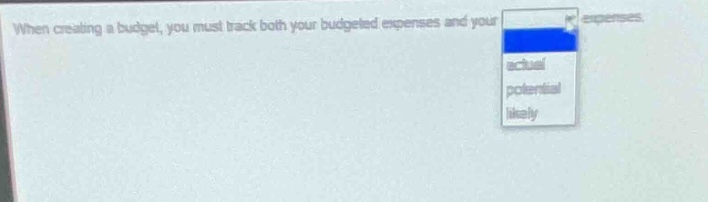when creating a budget, you must track both your budgeted expenses and your