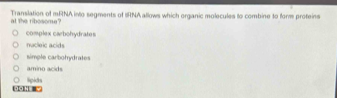 translation of mrna into segments of trna allows which organic molecules to combine to form proteins at the ribosome?\ncomplex carbohydrates\nnucleic acids\nsimple carbohydrates\namino acids\nlipids\ndone