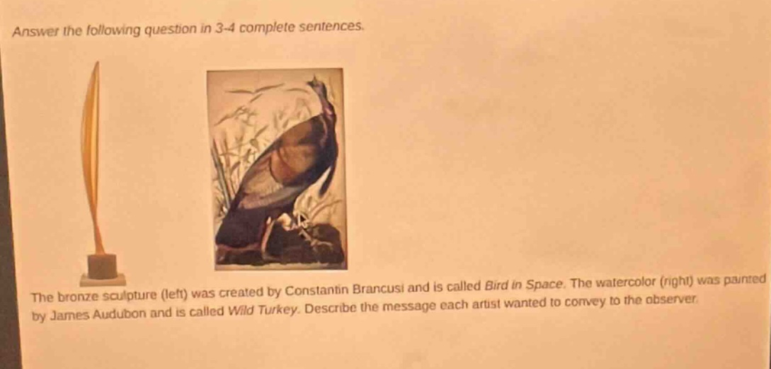 answer the following question in 3 - 4 complete sentences. the bronze sculpture (left) was created by constantin brancusi and is called bird in space. the watercolor (right) was painted by james audubon and is called wild turkey. describe the message each artist wanted to convey to the observer.