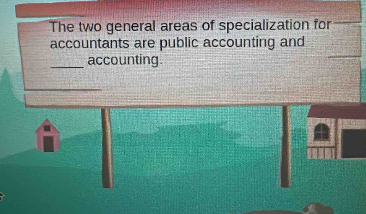the two general areas of specialization for accountants are public accounting and ____ accounting.