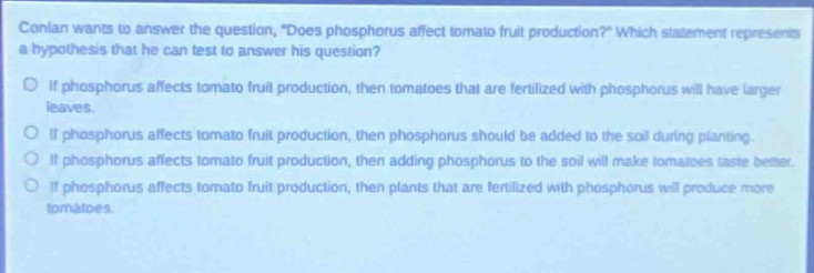 conlan wants to answer the question, \does phosphorus affect tomato fruit production?\ which statement represents a hypothesis that he can test to answer his question?\nif phosphorus affects tomato fruit production, then tomatoes that are fertilized with phosphorus will have larger leaves.\nif phosphorus affects tomato fruit production, then phosphorus should be added to the soil during planting.\nif phosphorus affects tomato fruit production, then adding phosphorus to the soil will make tomatoes taste better.\nif phosphorus affects tomato fruit production, then plants that are fertilized with phosphorus will produce more tomatoes.