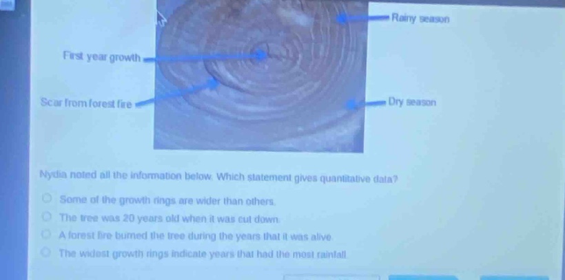 nydia noted all the information below. which statement gives quantitative data?\nsome of the growth rings are wider than others.\nthe tree was 20 years old when it was cut down.\na forest fire burned the tree during the years that it was alive.\nthe widest growth rings indicate years that had the most rainfall.