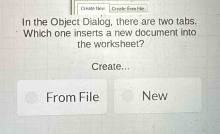 in the object dialog, there are two tabs. which one inserts a new document into the worksheet? create... from file new