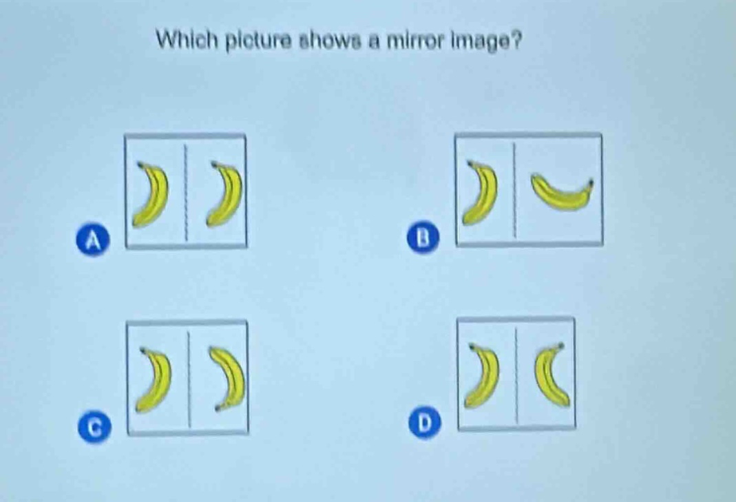 which picture shows a mirror image?