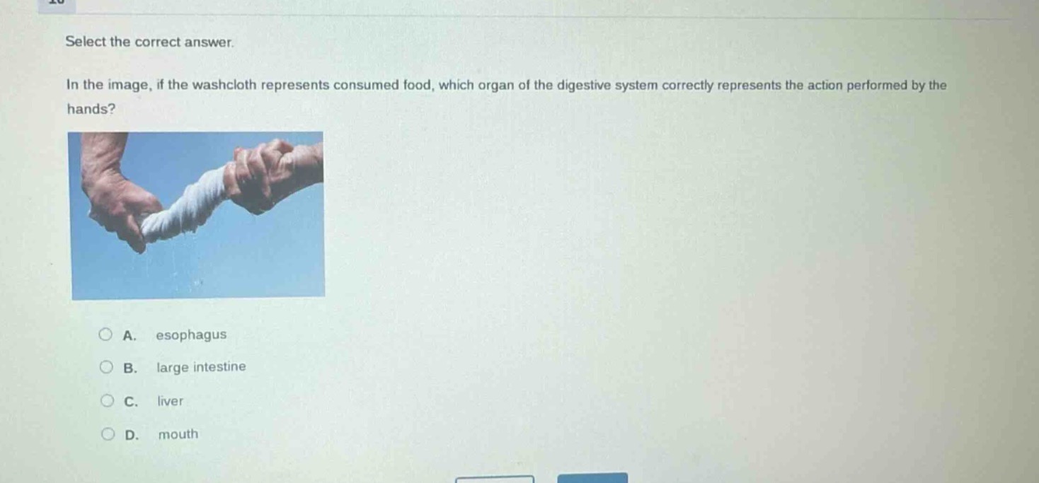 select the correct answer.\nin the image, if the washcloth represents consumed food, which organ of the digestive system correctly represents the action performed by the hands?\na. esophagus\nb. large intestine\nc. liver\nd. mouth