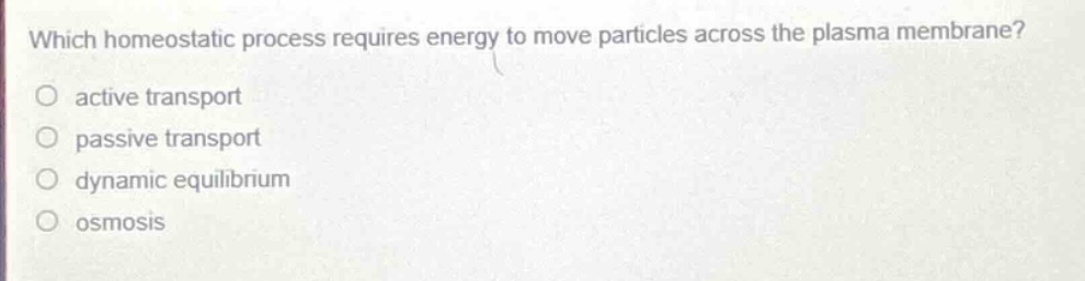 which homeostatic process requires energy to move particles across the plasma membrane?\no active transport\no passive transport\no dynamic equilibrium\no osmosis