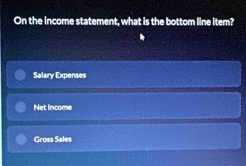 on the income statement, what is the bottom line item?\nsalary expenses\nnet income\ngross sales