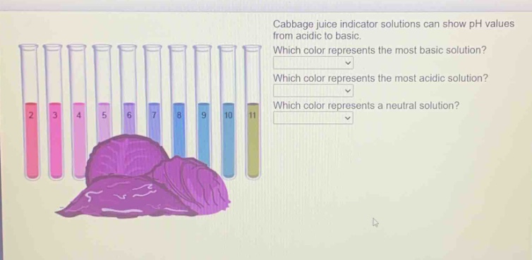 cabbage juice indicator solutions can show ph values from acidic to basic. which color represents the most basic solution? which color represents the most acidic solution? which color represents a neutral solution?