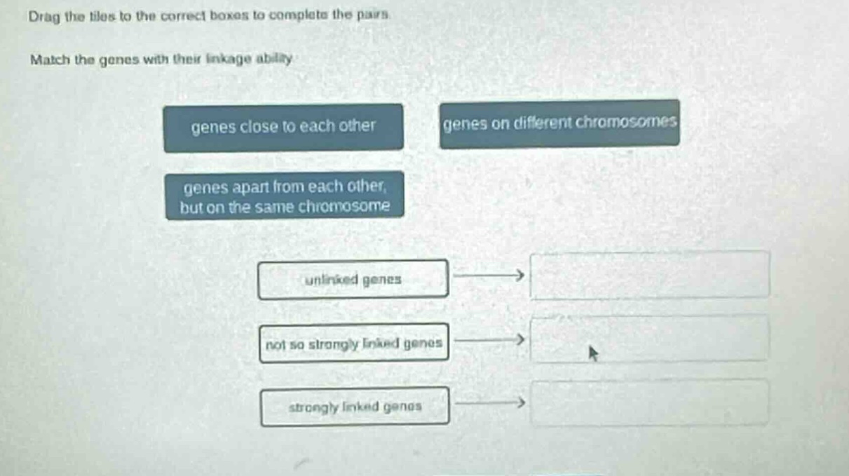 drag the tiles to the correct boxes to complete the pairs. match the genes with their linkage ability. genes close to each other genes on different chromosomes genes apart from each other, but on the same chromosome unlinked genes not so strongly linked genes strongly linked genes