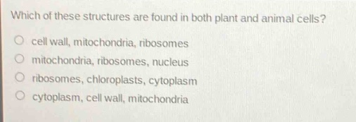 which of these structures are found in both plant and animal cells?\ncell wall, mitochondria, ribosomes\nmitochondria, ribosomes, nucleus\nribosomes, chloroplasts, cytoplasm\ncytoplasm, cell wall, mitochondria