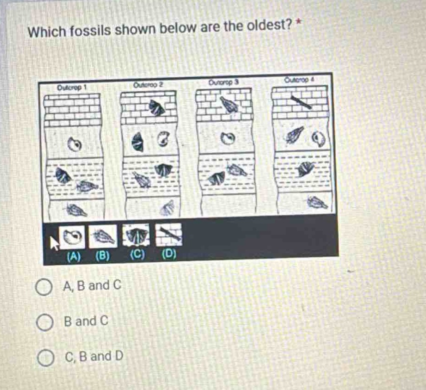 which fossils shown below are the oldest? * a, b and c b and c c, b and d
