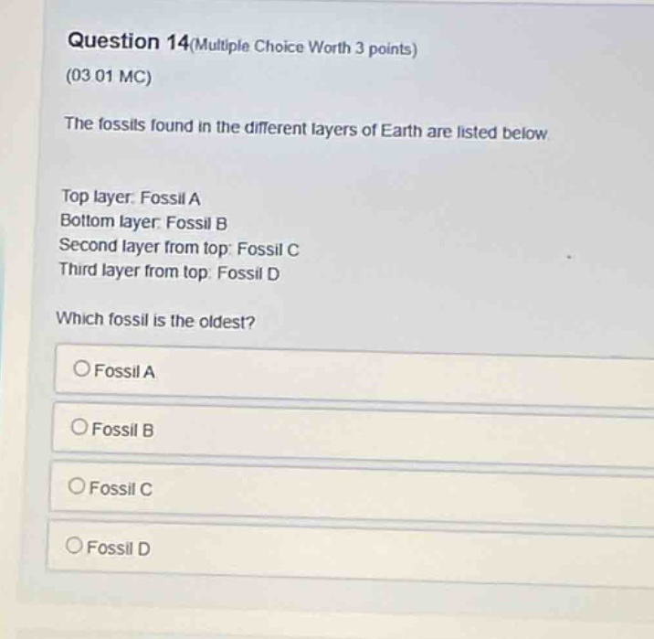 question 14(multiple choice worth 3 points)\n(03 01 mc)\nthe fossils found in the different layers of earth are listed below.\ntop layer: fossil a\nbottom layer: fossil b\nsecond layer from top: fossil c\nthird layer from top: fossil d\nwhich fossil is the oldest?\n○ fossil a\n○ fossil b\n○ fossil c\n○ fossil d