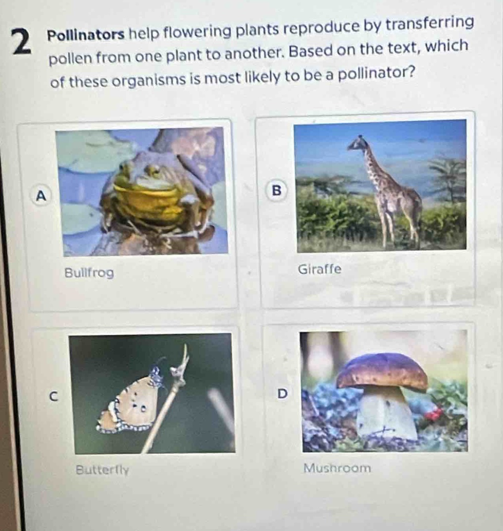 2 pollinators help flowering plants reproduce by transferring pollen from one plant to another. based on the text, which of these organisms is most likely to be a pollinator? a bullfrog b giraffe c butterfly d mushroom