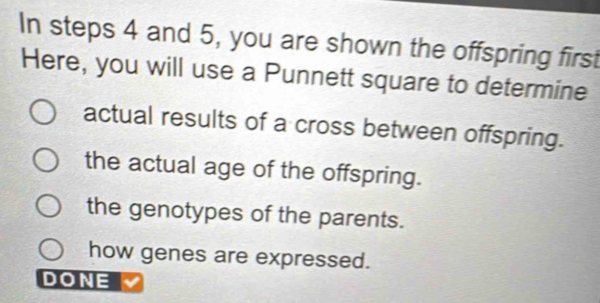 in steps 4 and 5, you are shown the offspring first. here, you will use a punnett square to determine\nactual results of a cross between offspring.\nthe actual age of the offspring.\nthe genotypes of the parents.\nhow genes are expressed.\ndone