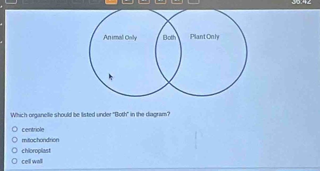 which organelle should be listed under \both\ in the diagram?\ncentriole\nmitochondrion\nchloroplast\ncell wall