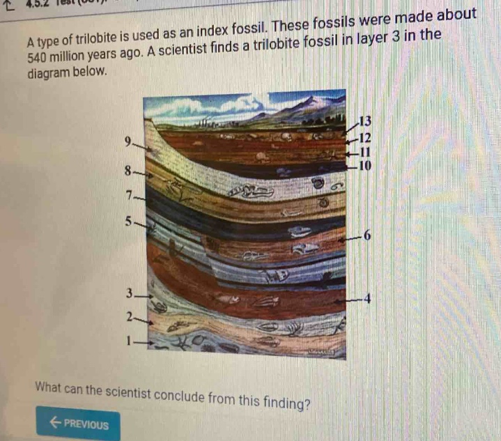 a type of trilobite is used as an index fossil. these fossils were made about 540 million years ago. a scientist finds a trilobite fossil in layer 3 in the diagram below. what can the scientist conclude from this finding?