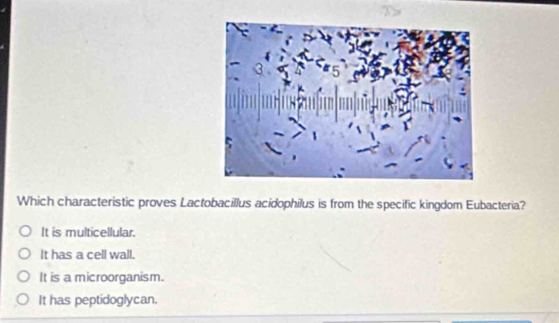 which characteristic proves lactobacillus acidophilus is from the specific kingdom eubacteria?\no it is multicellular.\no it has a cell wall.\no it is a microorganism.\no it has peptidoglycan.